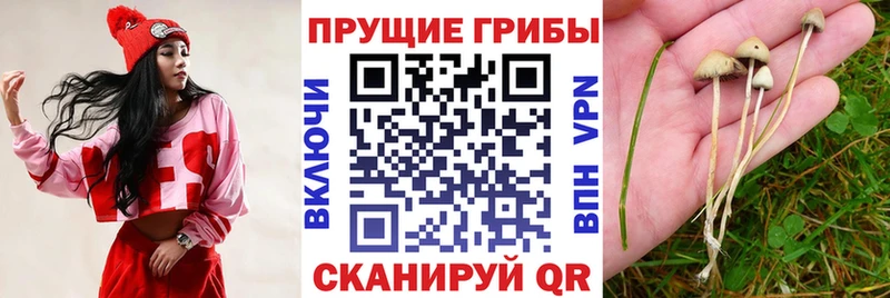 наркотики  Феодосия  даркнет какой сайт  Галлюциногенные грибы Magic Shrooms 